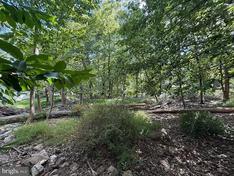 1st image of 67 Maple Shade Dr
