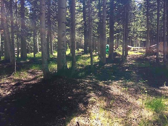 5th image of 603 Hazel Lake Dr