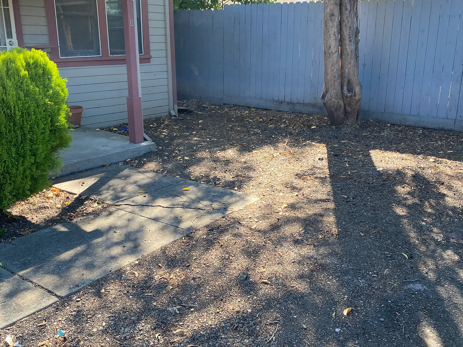 1 bed, 800 sqft, $1,745 — Photo 3