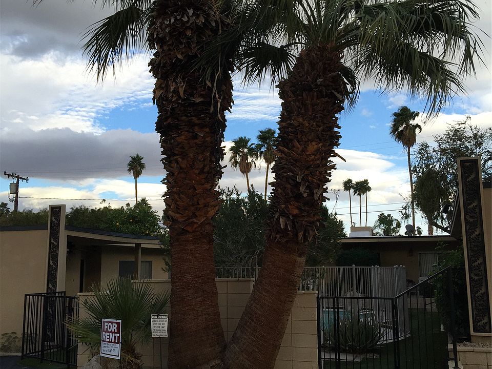 El Paseo Gardens