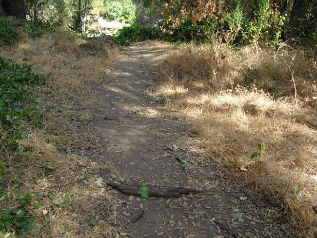 2nd image of 14733 River Trl