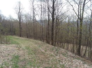 Parcel Big Tree Rd #131902600B, West Jefferson, NC 28694