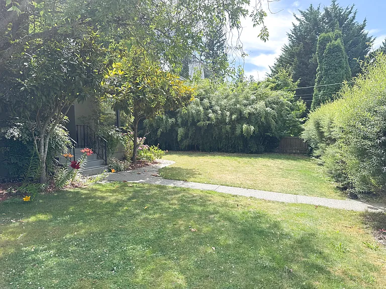 Front yard