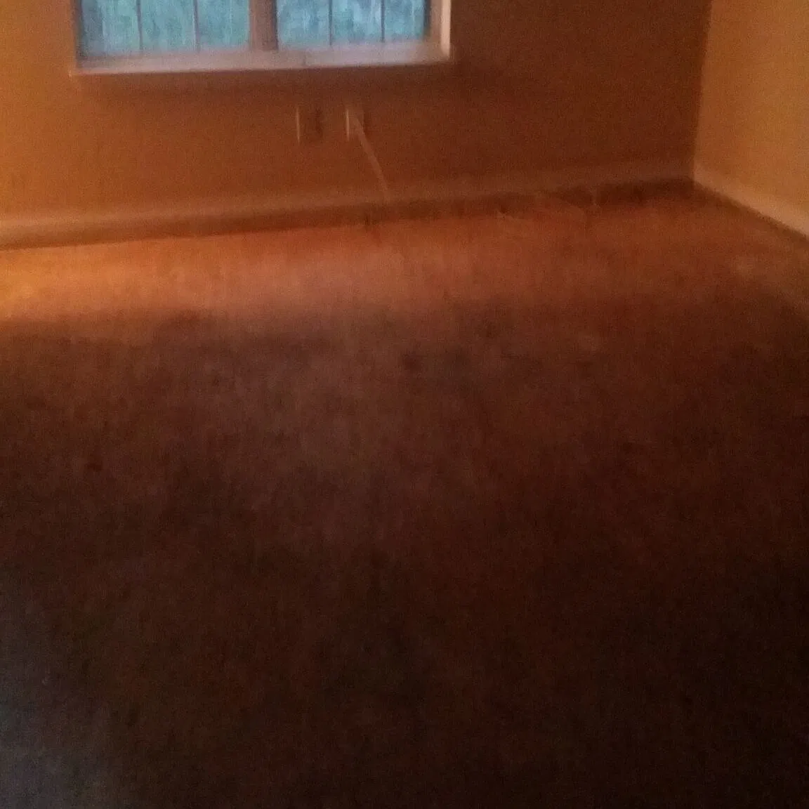 4 bed, 1000 sqft, $1,699 — Photo 4
