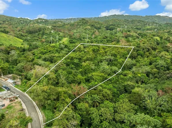 Bo Jaguitas Solar #2, Hormigueros, PR 00660