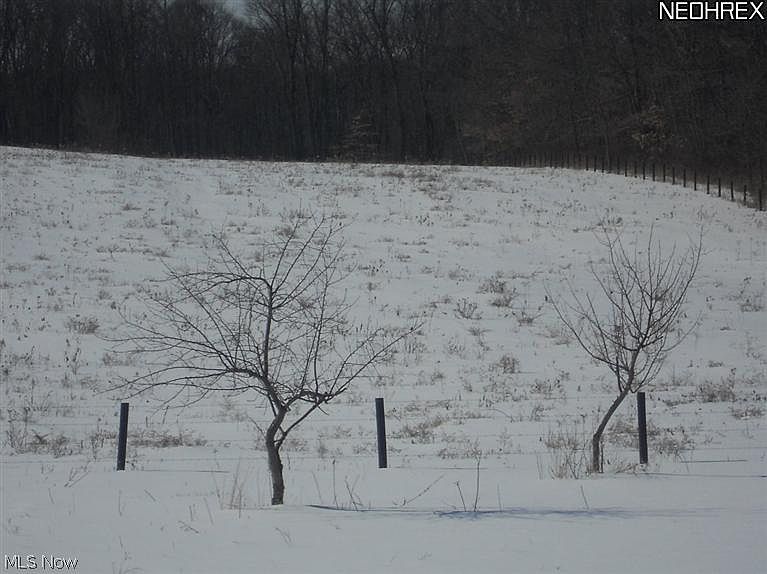 2nd image of State Route 206