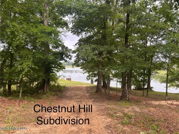 Chestnut Hl Lot 25, Flora, MS 39071