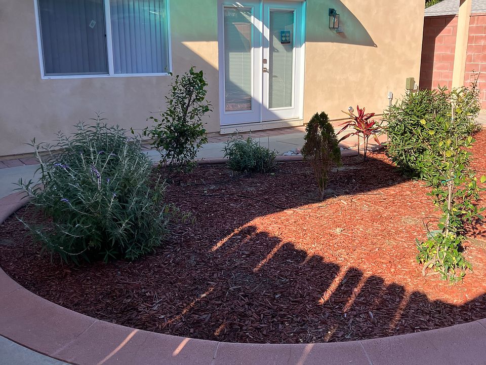 whole front house