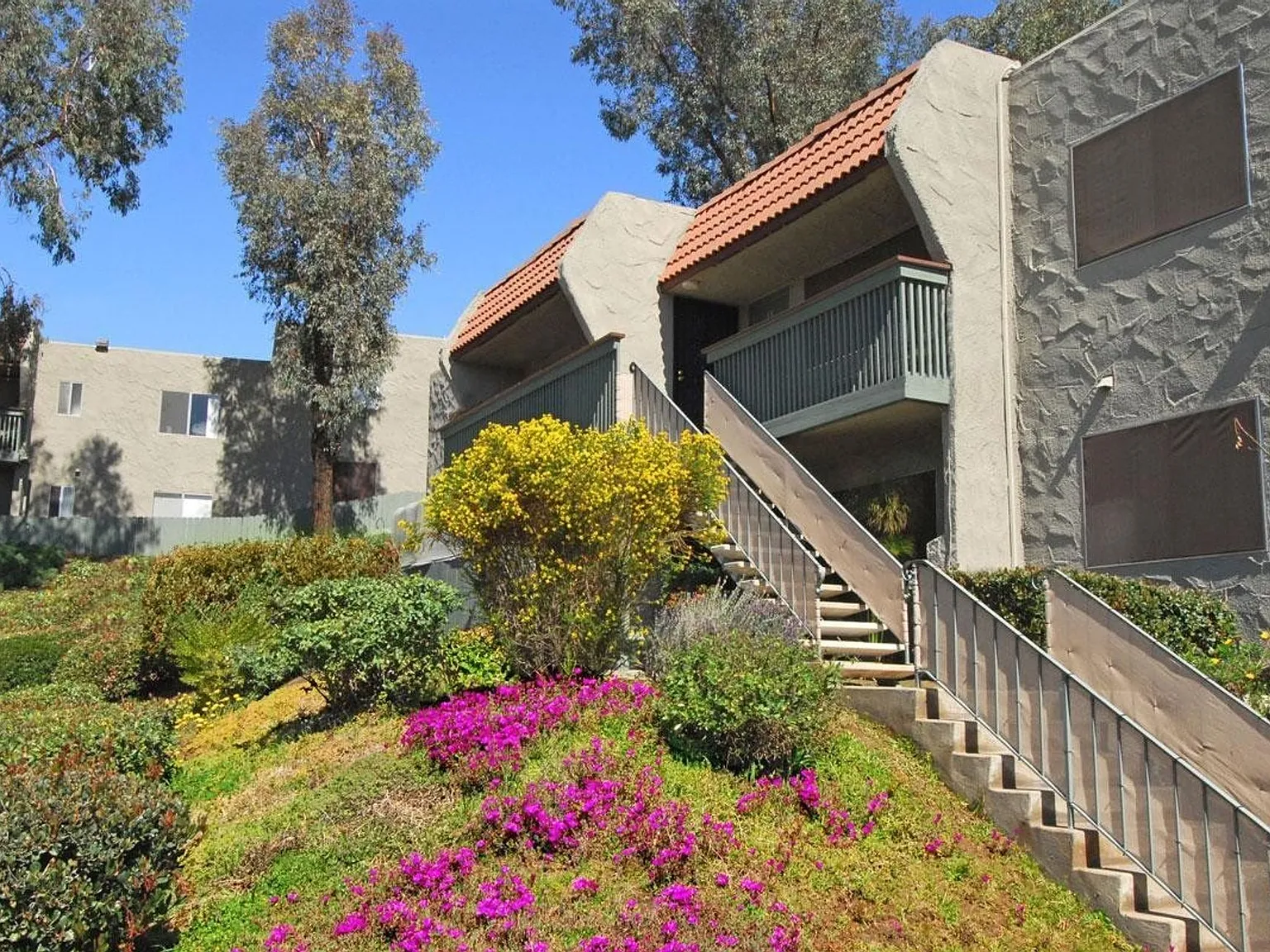 Summit Creek Apartments — Photo 4