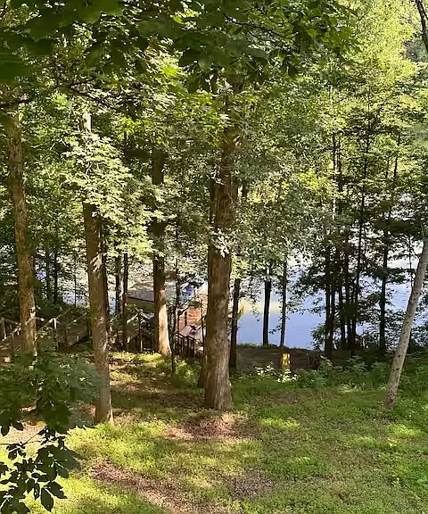 view