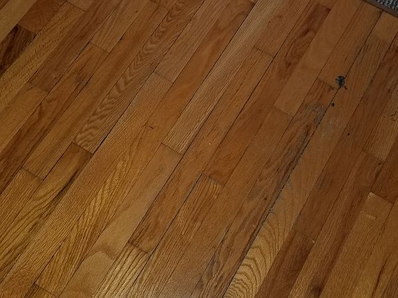 3rd image of 103 Bayberry Dr