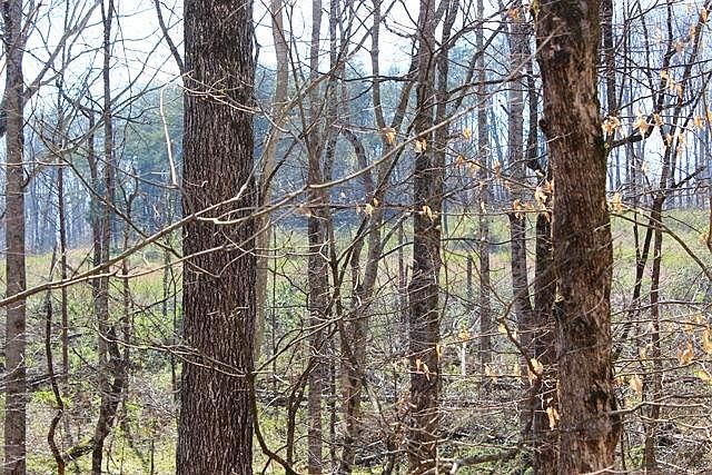 2nd image of 6984 Antioch Rd