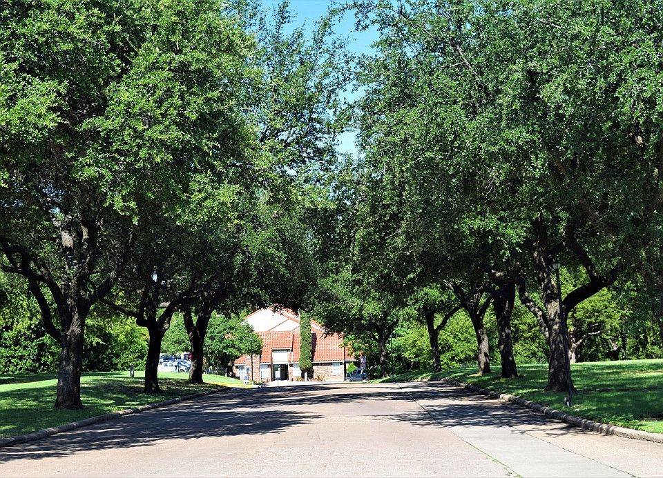 Sevilla Apartments walkway with trees