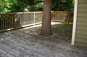 5th image of 427 Pony Lake Ln