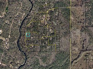 299 SW 125th Ave, Steinhatchee, FL 32359