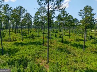 0 State Highway 30 #A, Buena Vista, GA 31803