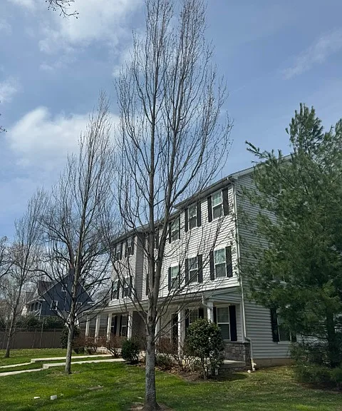 609 Haverford Ave — Photo 2