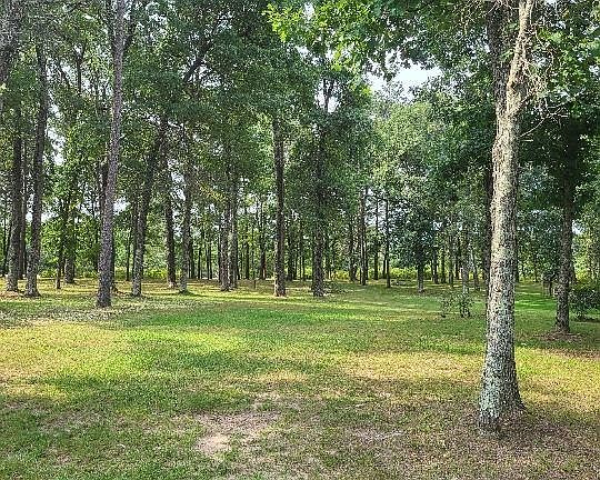 4th image of 1038 Long Bow Ct