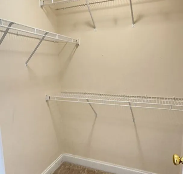 223 Forest Green Dr — Photo 24