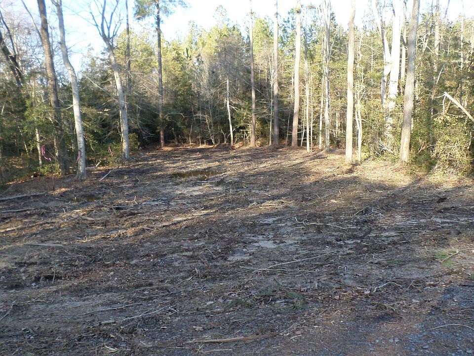 2nd image of Ferry Landing & Elm Dr