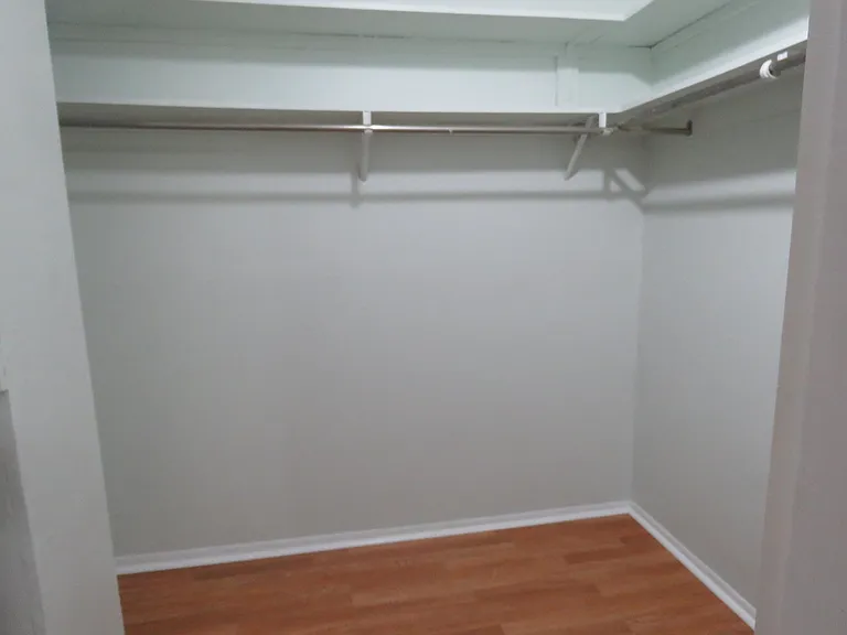 Walk-in closet for master bedroom