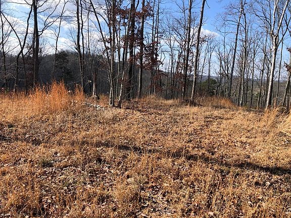 5th image of 2945 Piney Grove