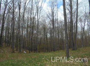 Sand Lake Rd, Florence, WI 54121