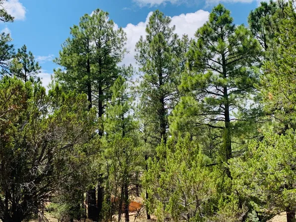6373 Whispering Pine Dr, Happy Jack, AZ 86024