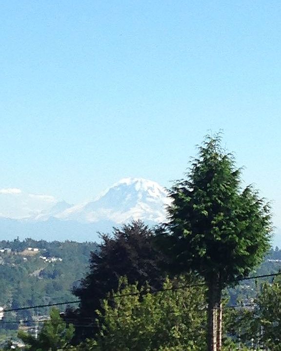 Mt Rainier view