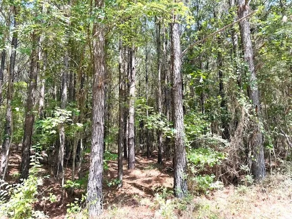 0 Highway 79, Homer, LA 71040