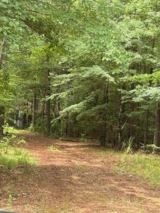 53 Robinson Rd, Seale, AL, 36875