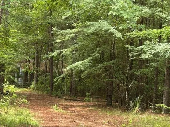 53 Robinson Rd, Seale, AL 36875