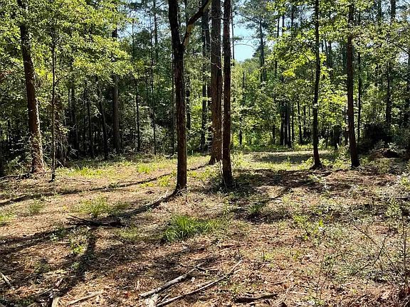 4th image of Mack Ln