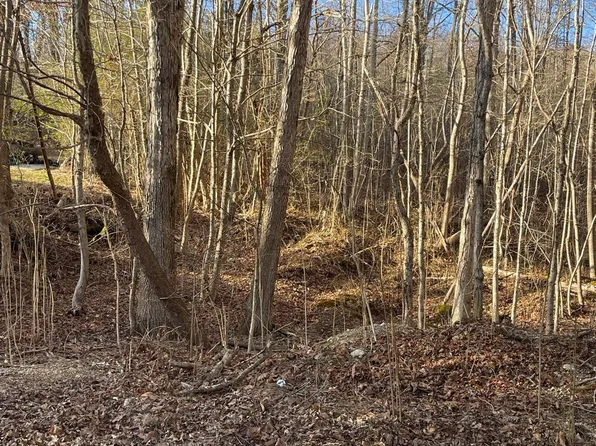 0 Norton Rd, Philadelphia, TN 37846