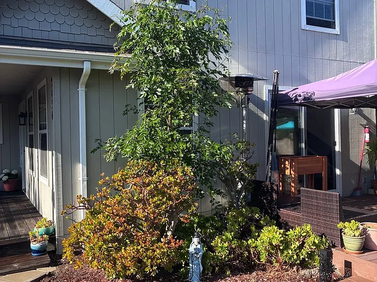 2436 Paul Minnie Ave — Photo 21