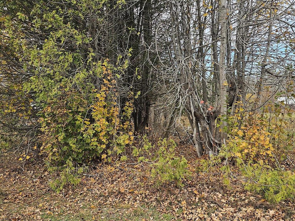 2nd image of Map 15, Lot 109, Main Street