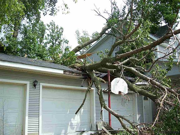 2nd image of 2274 Balsam Ave