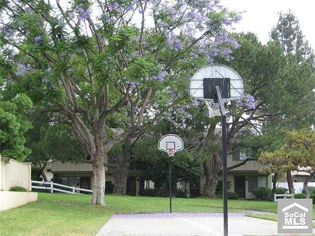 Basketball Courts