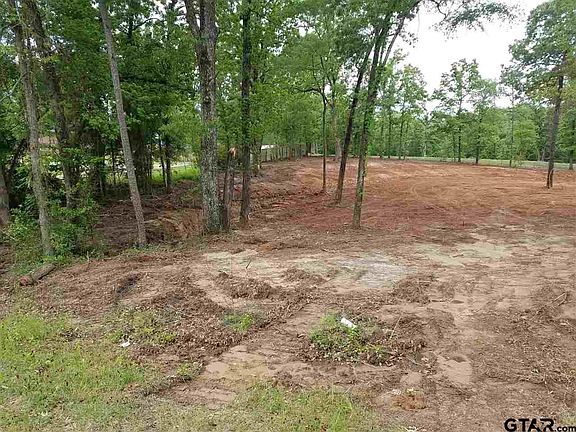 3rd image of LOT 8 County Road 2220