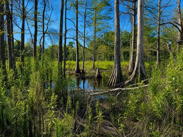 1 Saint Anne Rd, Carthage, MS 39051