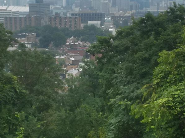 1769 Perrysville Ave APT 1