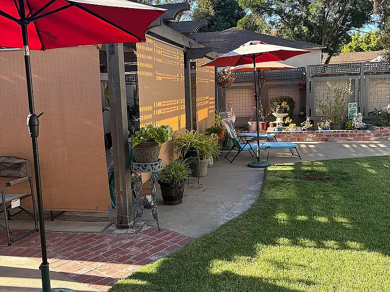 Shared enclosed yard