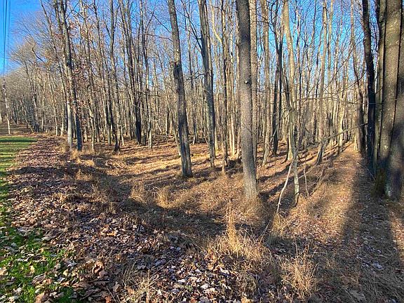 4th image of Lots 122 & 123 Goldenrod Dr