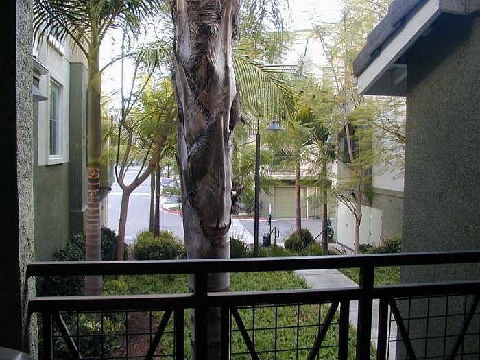 Balcony view