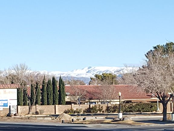 View from front Yard