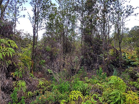 2nd image of Mokuna St Lot 1891
