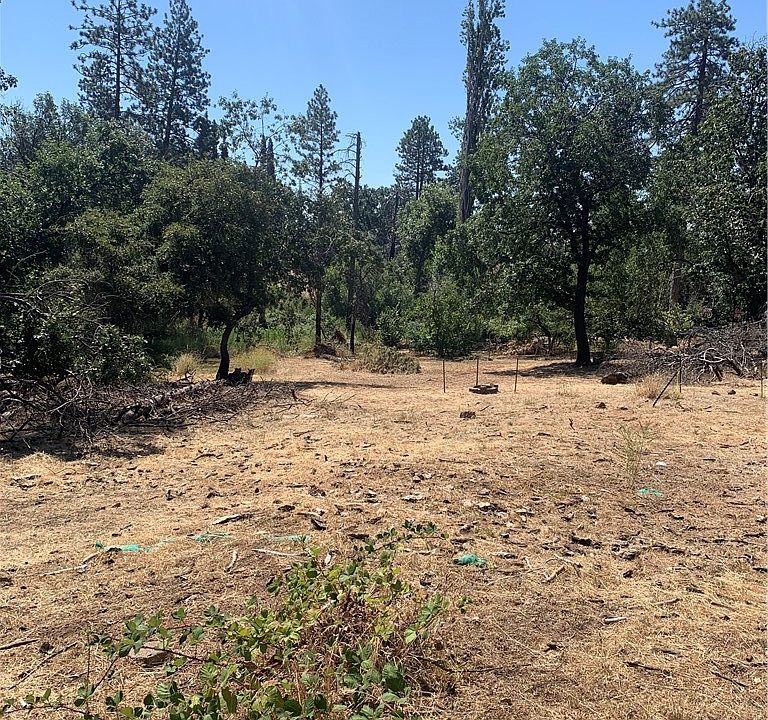 1st image of 1950 Hillpark Ln