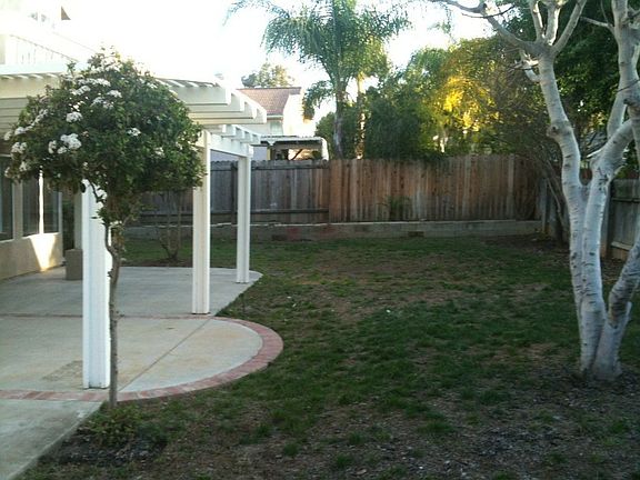 5th image of 31085 Green Forest Dr