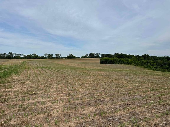 3rd image of 33.01 Acres Trl