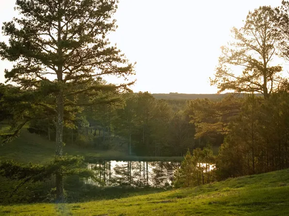 5871 Highway 278, Haleyville, AL 35565